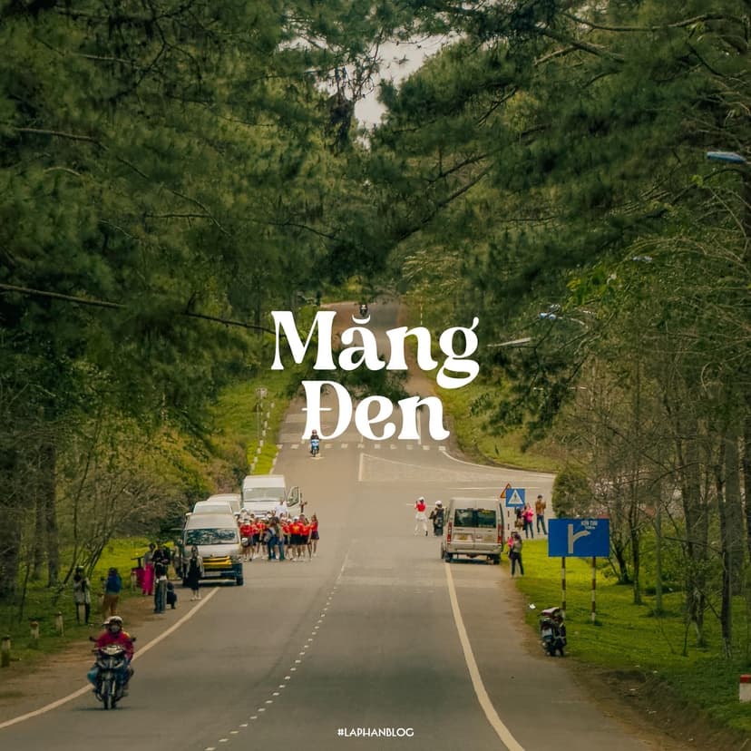 Đắk Lắk - Gia Lai - Măng Đen: Trọn Vẹn Một Tây Nguyên Hoang Sơ & Kỳ Bí